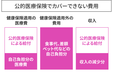 公的医療保険でカバーできない費用