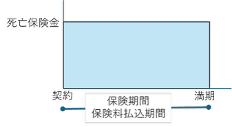 図1 定期保険の保障と保険期間