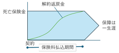 終身保険の保障と保険期間