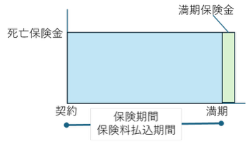 養老保険の保険金と保険期間