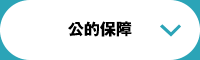 公的保証
