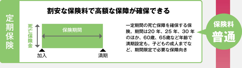 定期保険 割安な保険料で高額な保障が確保できる 保険料普通
