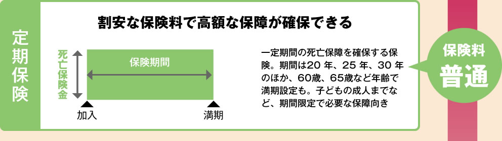 定期保険 割安な保険料で高額な保障が確保できる 保険料普通