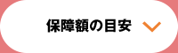 保障額の目安
