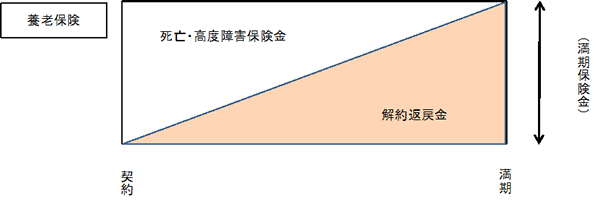 養老保険