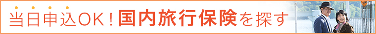 国内旅行保険を探す