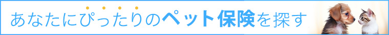 ペット保険を探す