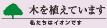 木を植えています