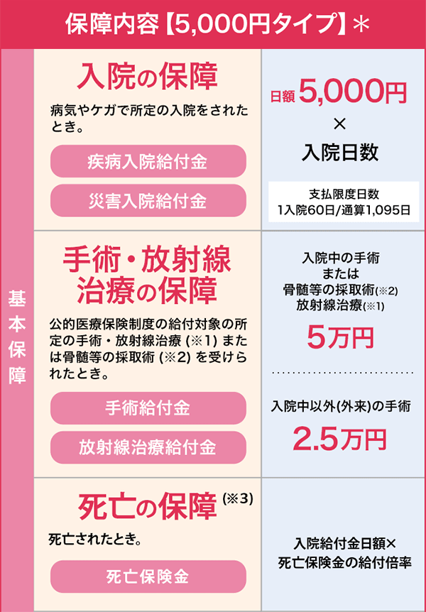 保障内容【5,000円タイプ】＊