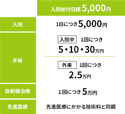 入院給付日額 5,000円 入院 1日につき5,000円 手術 入院中1回につき5・10・25万円 外来1回につき2.5万円 放射線治療 1回につき5万円 先進医療 先進医療にかかる技術料と同額