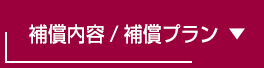 補償内容／補償プラン