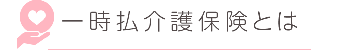 一時払介護保険とは