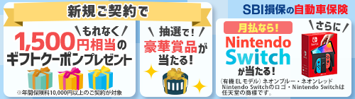 SBI損保の自動車保険 今なら新規ご契約でプレゼント！！