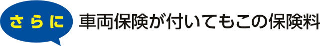 さらに車両保険が付いてもこの保険料