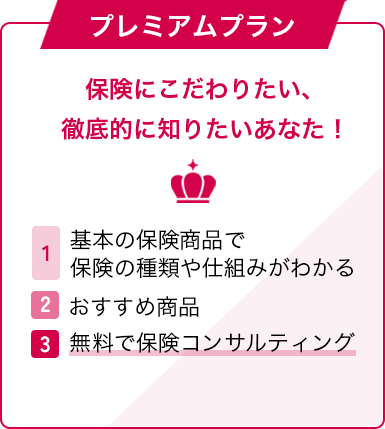 プレミアムプラン