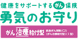 健康をサポートするがん保険 勇気のお守り 治療給付型
