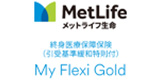 マイフレキシィゴールド　インターネット申込限定　レギュラープラン