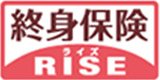 RISE