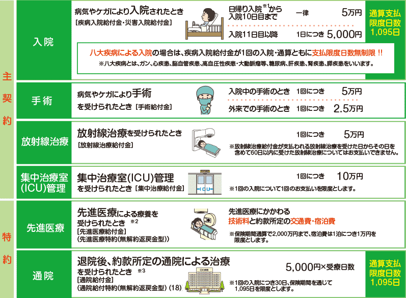 主契約 特約