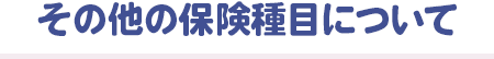 その他の保険種目について