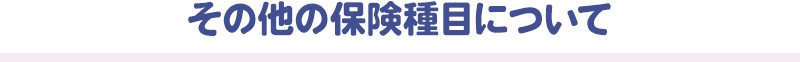 その他の保険種目について