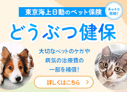 どうぶつ健保